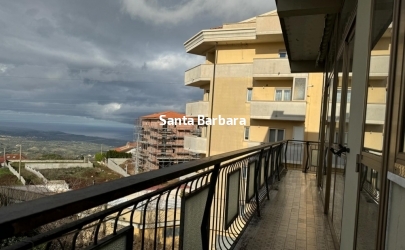 IMG-20241210-WA0110