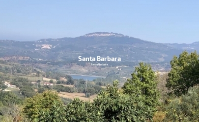 Maierato, Terreno di mq 33.000 circa e fabbricato di mq 60 circa.