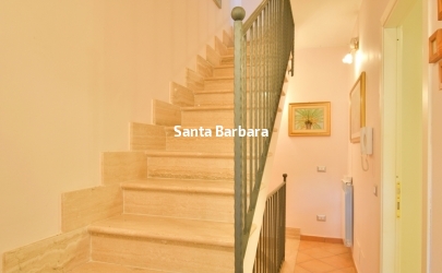 33b