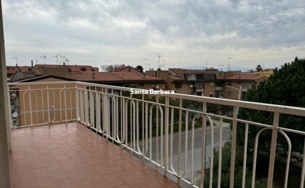 IMG-20250307-WA0050