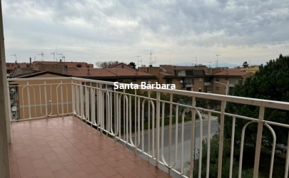 IMG-20250307-WA0050