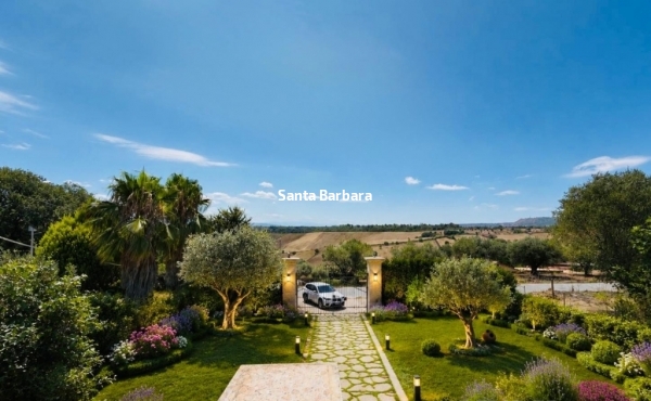 WhatsApp Image 2026-07-29 at 18.15.14